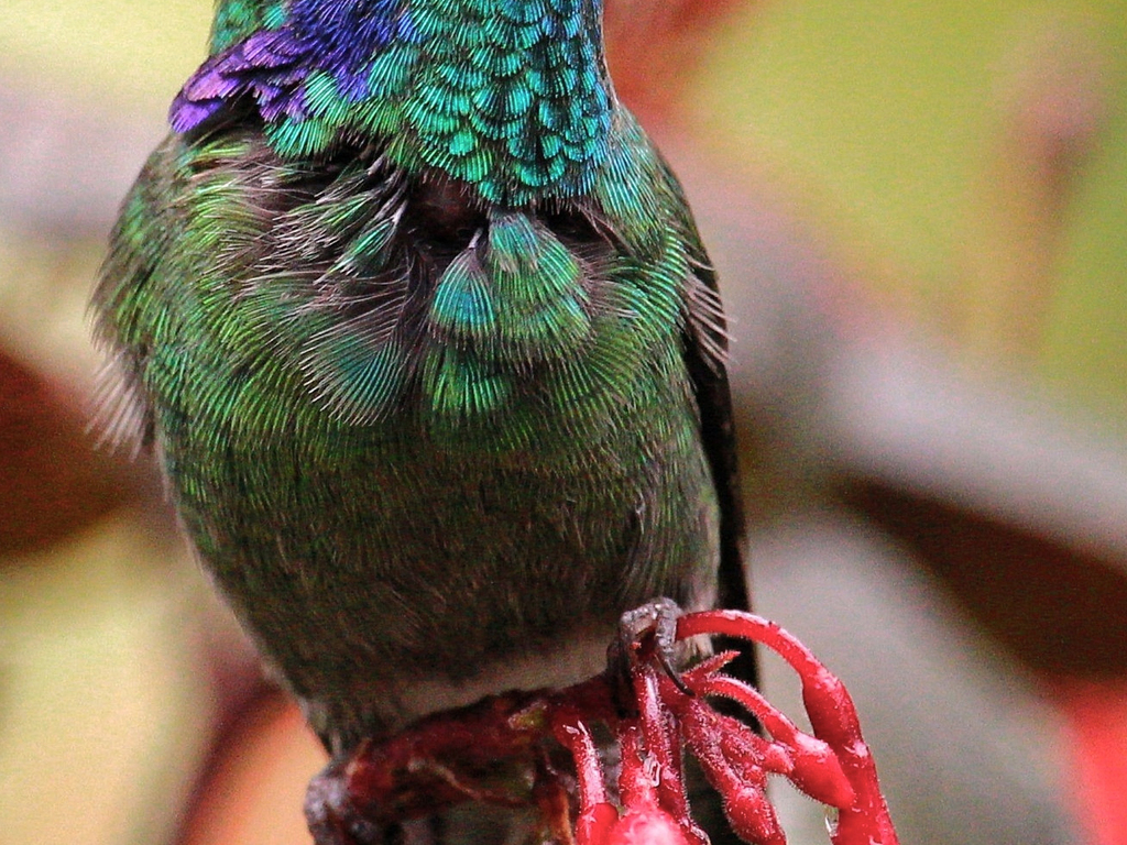 Hidden Wonders of Colombia